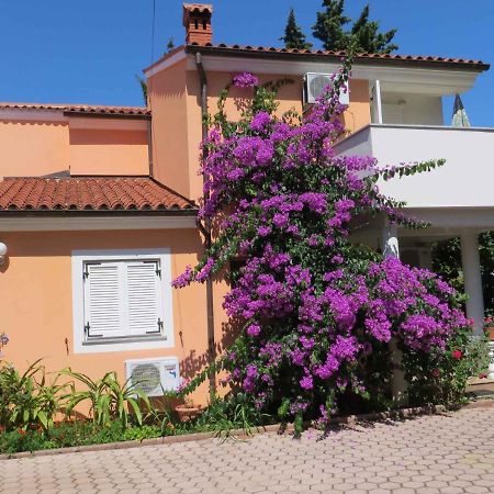 Apartments In Premantura/Istrien 34773 Dış mekan fotoğraf